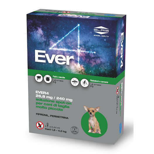 Ever - 