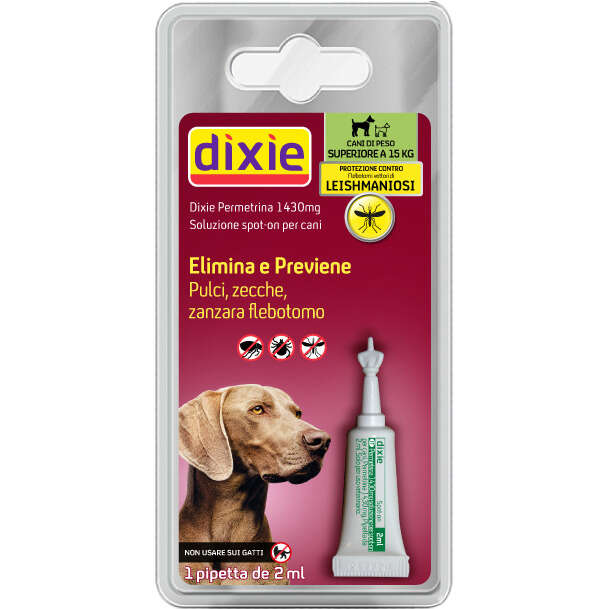 Dixie - 