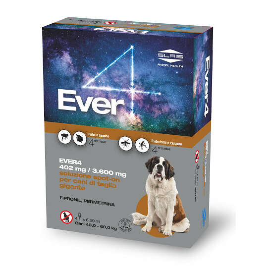Ever - 