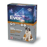 Ever - 