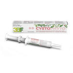 Cystophyto pasta siringa 30 g
