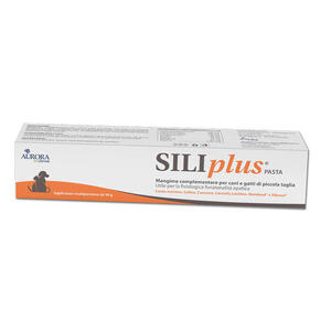 Pasta - Siliplus  30 g