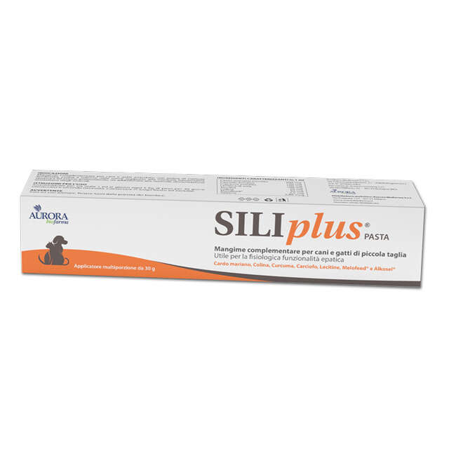 Pasta - Siliplus  30 g