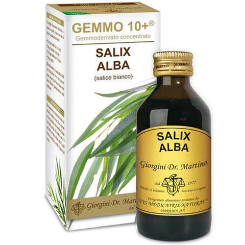Giorgini - Gemmo 10+ salice bianco 100 ml liquido analcolico
