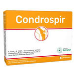 Condrospir - 14 bustine