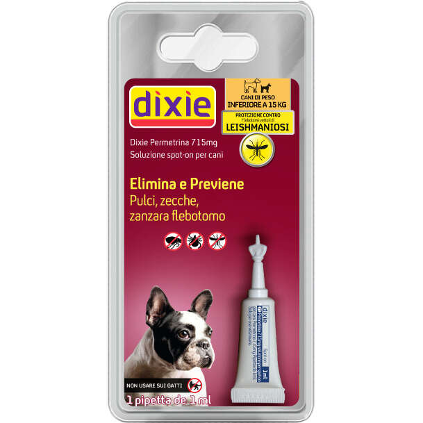 Dixie - 