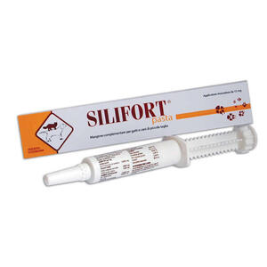 Silifort - Pasta os siringa 30 g