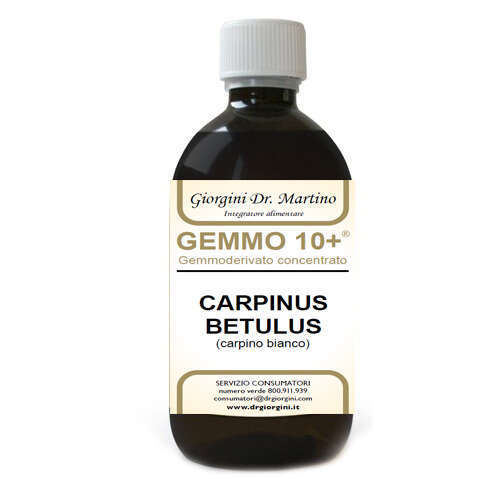 Giorgini - Gemmo 10+ carpino bianco 500 ml liquido analcolico