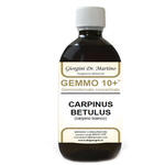Giorgini - Gemmo 10+ carpino bianco 500 ml liquido analcolico