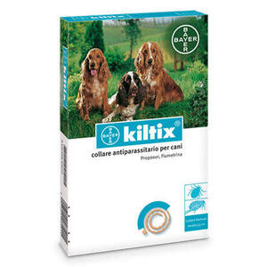 Kiltix - 