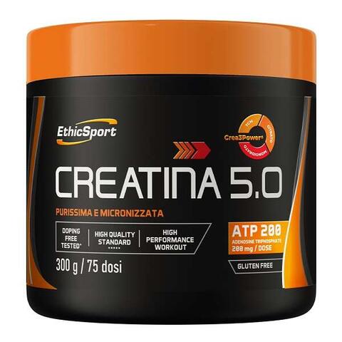 Creatina 5.0 - Creatina 5,0 300 g 75 dosi