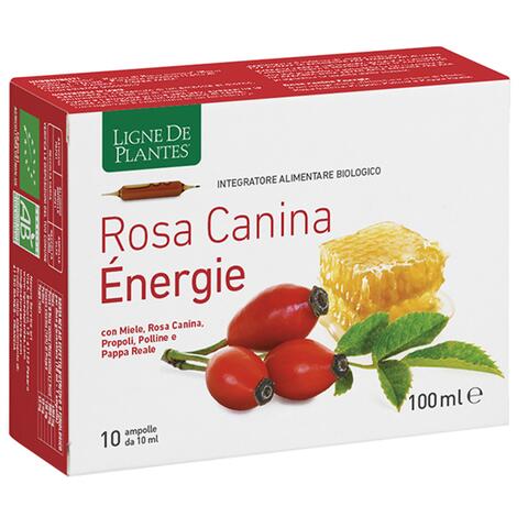Rosa canina energie biologico 10 ampolle bevibili da 10 ml
