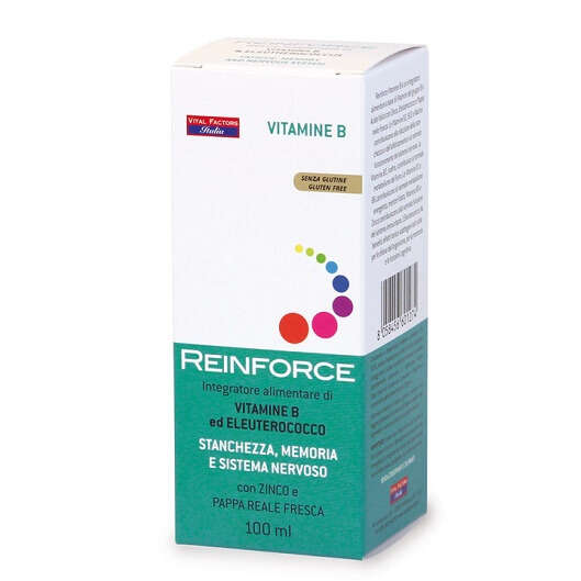 Reinforce - Vitamina b 100 ml