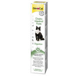 Gastrointestinal paste 50 g