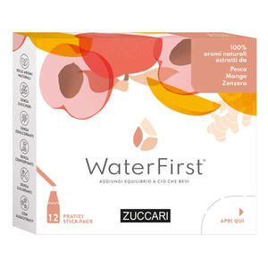 Pesca, mango, zenzero - Water first pesca-mango-zenzero 12 stick pack