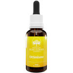 Ottimismo - Essence australian 30 ml