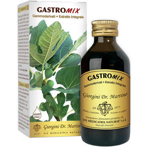 Giorgini - Gastromix liquido analcolico 200 ml