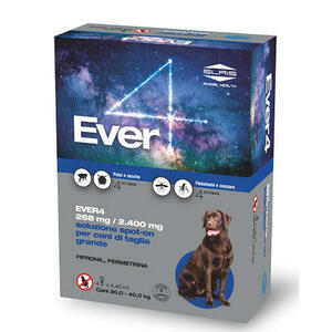 Ever - 