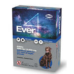 Ever - 