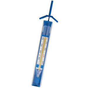 Diacare - Termometro clinico easyplus