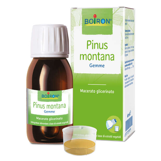 Boiron - Pinus montana  macerato glicerico 60 ml
