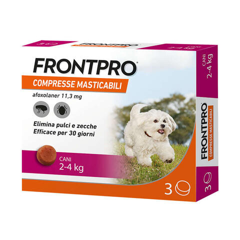Frontpro - 