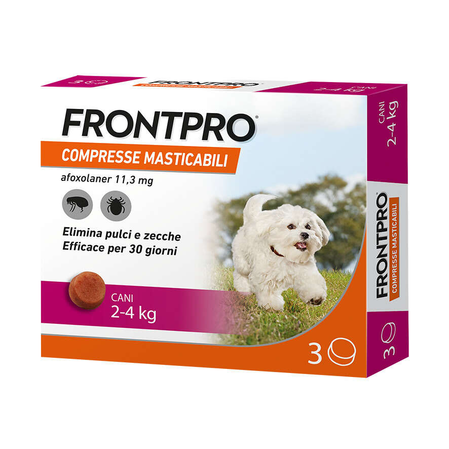 Frontpro - 