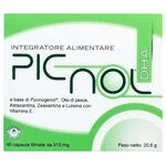 Picnol dha 40 capsule 21,11 g