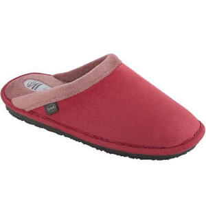 Scholl's - 