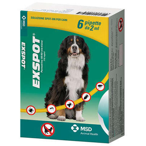 Exspot - 