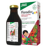 Floradix - Kids 250 ml