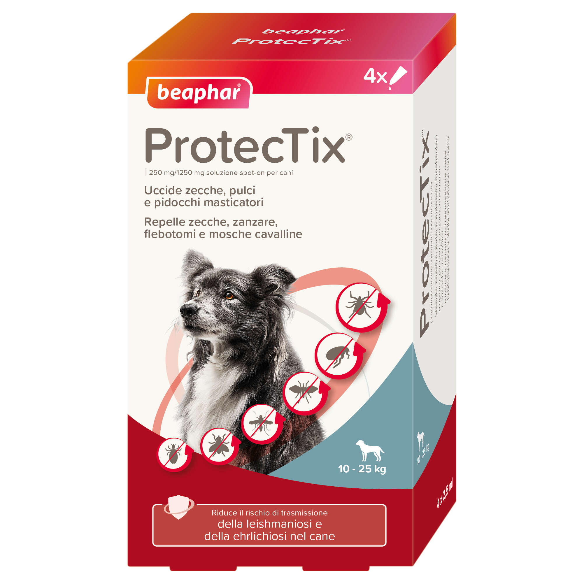 Protectix - 