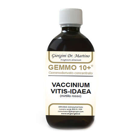 Giorgini - Gemmo 10+ mirtillo rosso liquido analcolico 500 ml