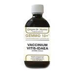 Giorgini - Gemmo 10+ mirtillo rosso liquido analcolico 500 ml