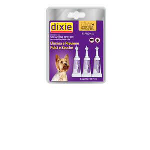 Dixie - 