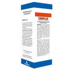 Biogroup - Cereplus 50 ml soluzione idroalcolica