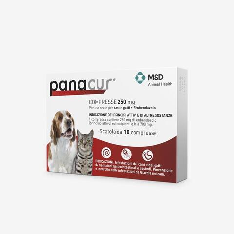 LATINA VETE - PANACUR*10CPR 250MG