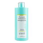 ESSENZIA SHAMPOO RINFORZANTE ENERGIZZANTE 400 ML