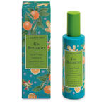 Gin botanicals spray corpo setificante 100 ml