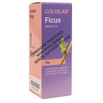 Ficus gocce 50 ml linea colislab