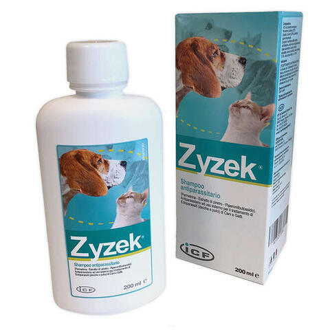Zyzek - 