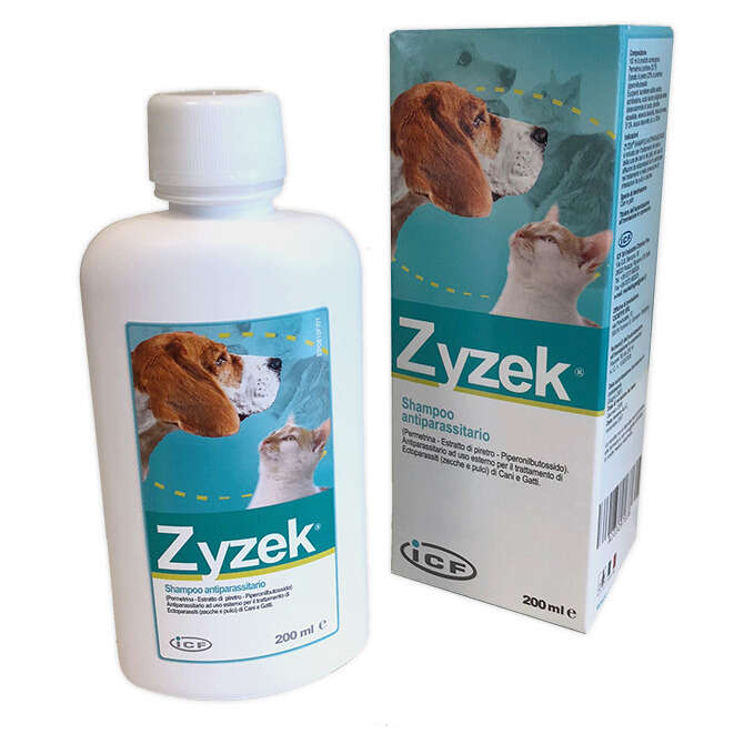 Zyzek - 