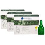 Dermoscent - Pyo spot cane 20-40 kg