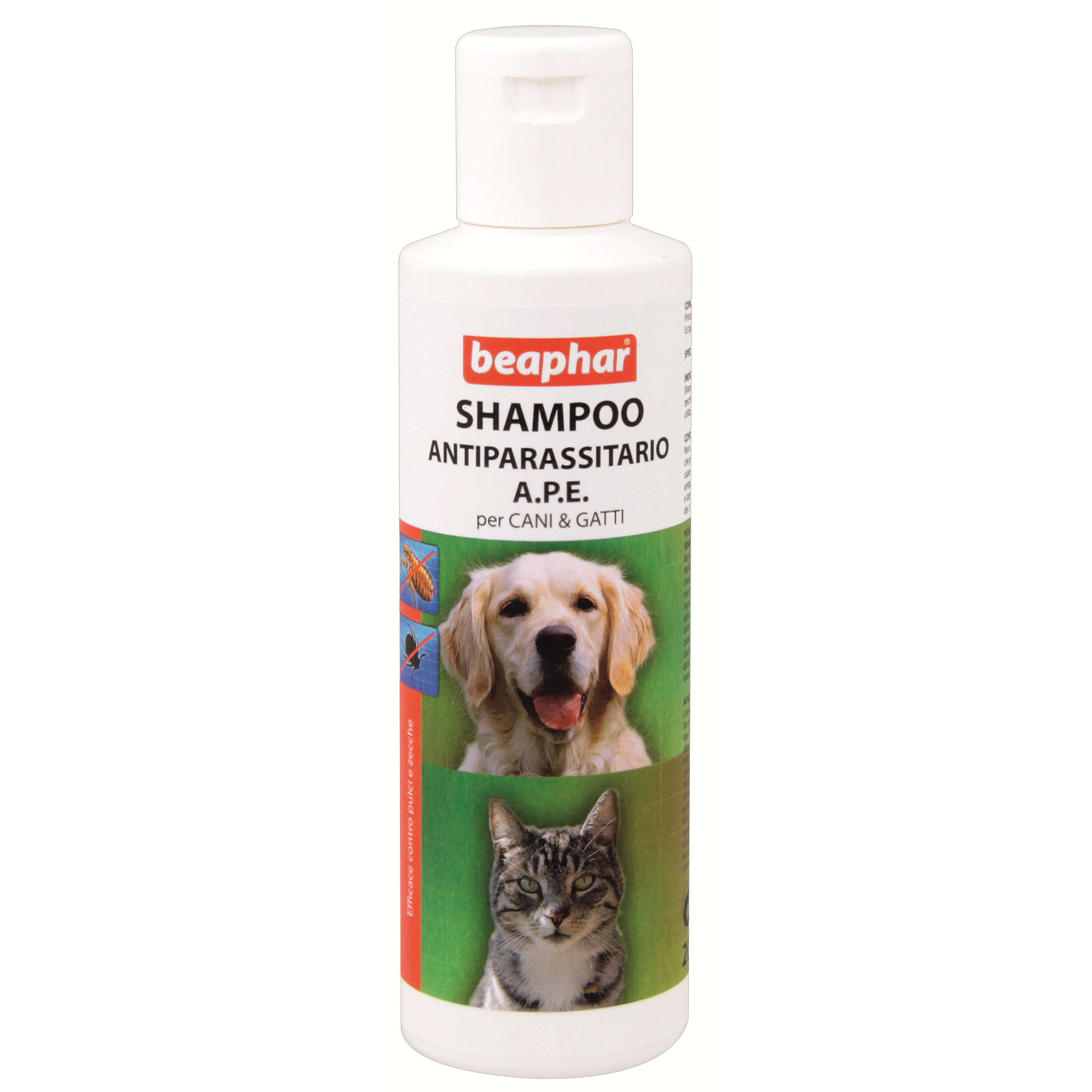 Shampoo - 