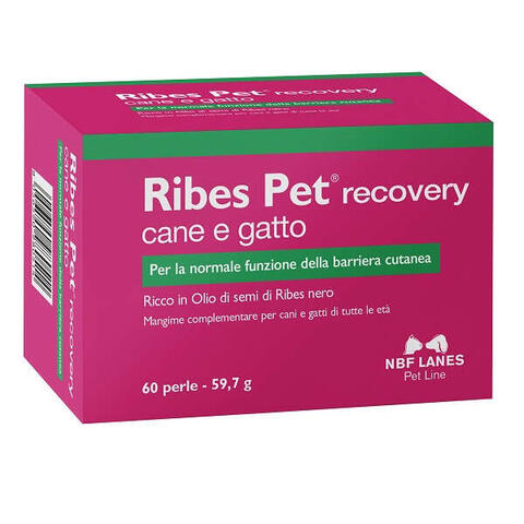 N.b.f. lanes - Ribes pet recovery blister 60 perle