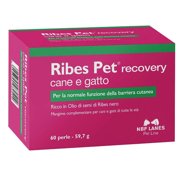 N.b.f. lanes - Ribes pet recovery blister 60 perle