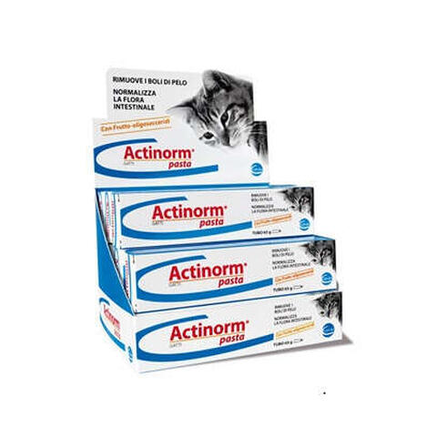 Ceva - Actinorm pasta gatti 65 g