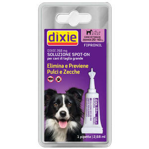Dixie - 