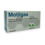 Moltigas - Sinegas 40 capsule