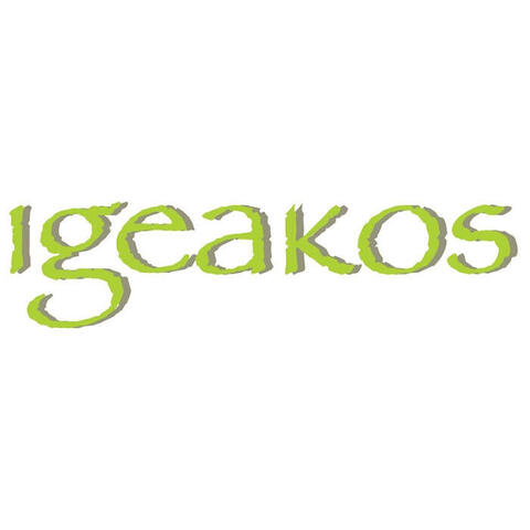 Igeakos - Fmc epato gocce orali 50 ml